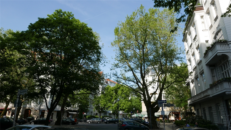 Wohnen in Berlin
