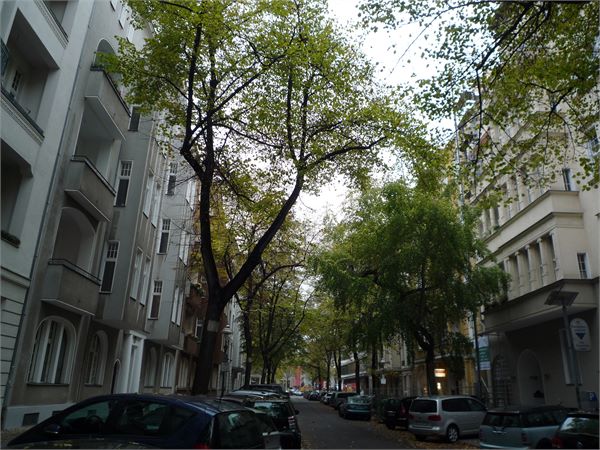 Wohnen in Berlin