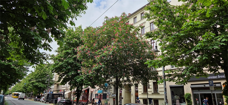 Wohnen in Berlin