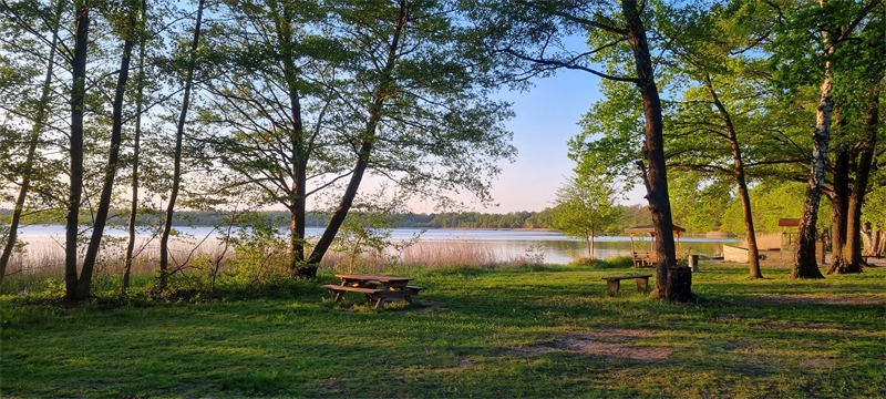 Kümmel Immobilien Pätz