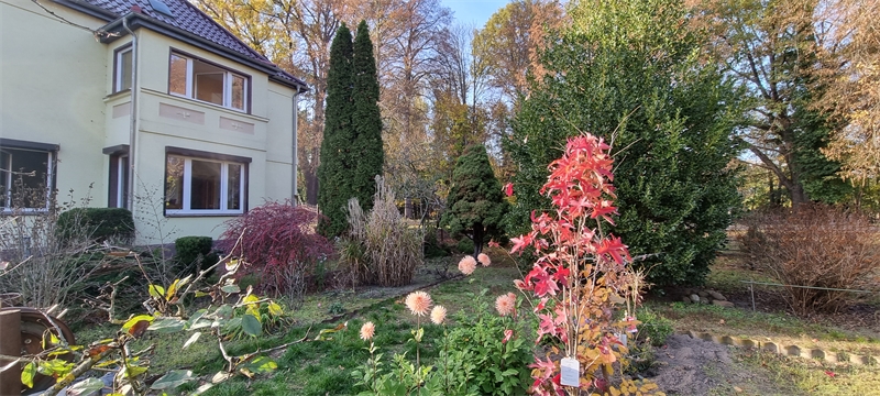 kümmel immobilien
