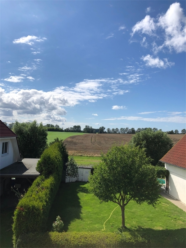 kümmel immobilien