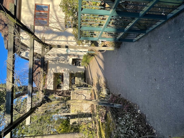 kümmel immobilien