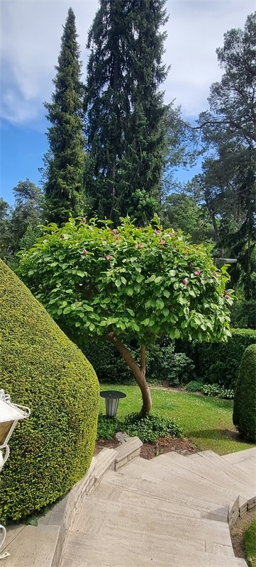 Wohnen in Berlin