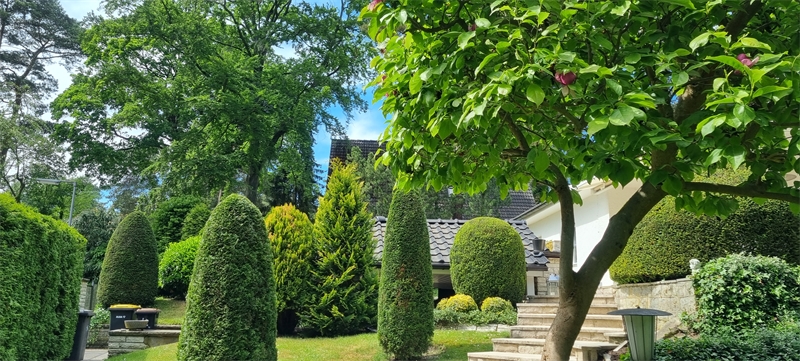 kümmel immobilien